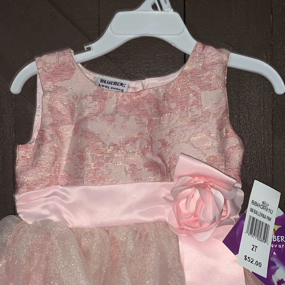 Blueberi Boulevard- little girls dress